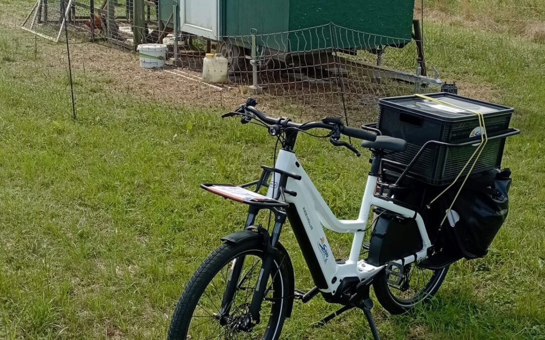 R&M Multicharger langer Gepäckträger Personentransport (41E)